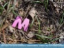 Photo: Today is brought to you by the letter "M" ©2006 World-Link