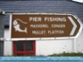 Photo: Mackerel, Conger, Mullet, Flatfish -Ballycotton, Co. Cork, Ireland ©2006 Jeremy Keith