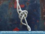 Photo: "Is it knot?" ©2006 World-Link