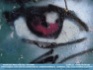 Photo: Graffiti-style eye on side of dumpster ©2006 World-Link
