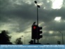 Photo:  Bird atop stoplight " Red means Stop" ©2006 World-Link