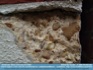 Photo - Plaster facade cracked away from concrete ©2006 World-Link