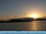 Photo: Seabirds and Sunset Westport, Co. Mayo, Ireland © E. Behan