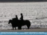 Photo: "Sea Horses"  North Umberland, UK   ©2006 Micilin