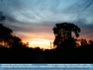 Photo:   Sunset over Coolbellup, Western Australia ©2006 J.  Flahive