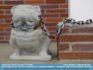 Photo:  Concrete bulldog chained to column at Omar's office ©2006