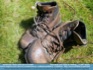 Photo: "These Boots are made for Walking"  ©2007 Micilin 