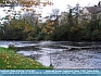 Photo:  Leaves and Streams, Oughterard, Galway  ©2007 Eamon Behan 