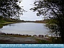 Photo:  White Lake, Castlepollard, Co. Westmeath, IE ©2007 Kathleen Norman