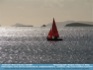 Photo: "Shimmering Sails" Westport Ireland © Eamon Behan 