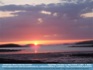 Photo:  Island Pinks Clew Bay, County Mayo, Ireland ©2007  E. Behan 