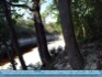 Down Upon the Suwannee River" (Swanee River) - FLorida, USA  © 2007 P. Pearson 