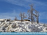       Hot Spring Casualties, Yellowstone National Park, WY  USA  © 2011 Dee Langevin