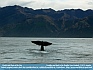 Goodbye and back to the Depths, New Zealand © 2012 Annette