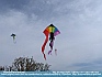 Photo: Kite Flying, San Diego Harbor, California, USA © 2013 Mike Dunn 