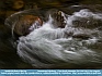    Downstream Turbulence ,  Great Smoky Mountains, TN USA© 2013  Dee Langevin 