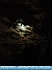 Photo:  Full Moon, Pierpont, Ohio, USA © 2013 Joyce Gore 