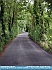 Photo:  The Road Home , Ireland © 2013 Mike Lester