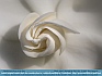 Floral  Spiral , Kennett Sq. PA, USA   © 2014  Dee Langevin