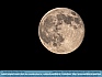 Super Moon, 239,000 miles from Earth © 2014 Dee Langevin 