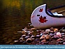 Canadian Canoe,  Jasper National Park, Canada © 2014 Dee Langevin 