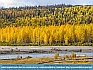 Alaskan Autumn, Susitna River Valley, AK USA © 2015  Dee Langevin